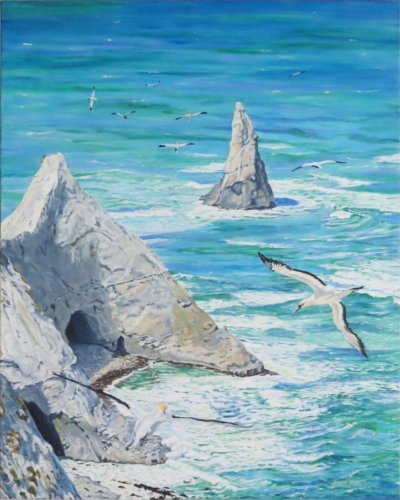 Gannets in Flight